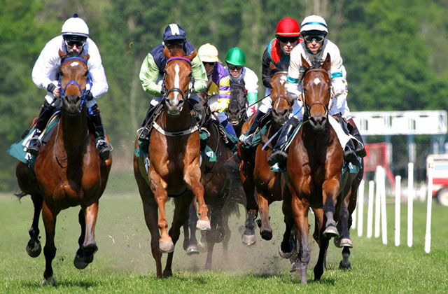 Lone Star Horse Racing Park